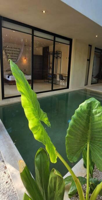 Apartment With Private Pool Tulum Chemuyil Kültér fotó